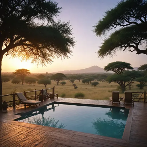 How to book a luxury safari lodge in Africa for an unforgettable experience