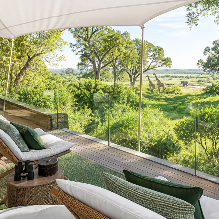 Safari travel Del Mar: how luxury lodge platforms are reshaping your next safari